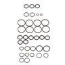 SEALS KIT DELTROL