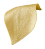 DURA-Guard Dural Repair Patch